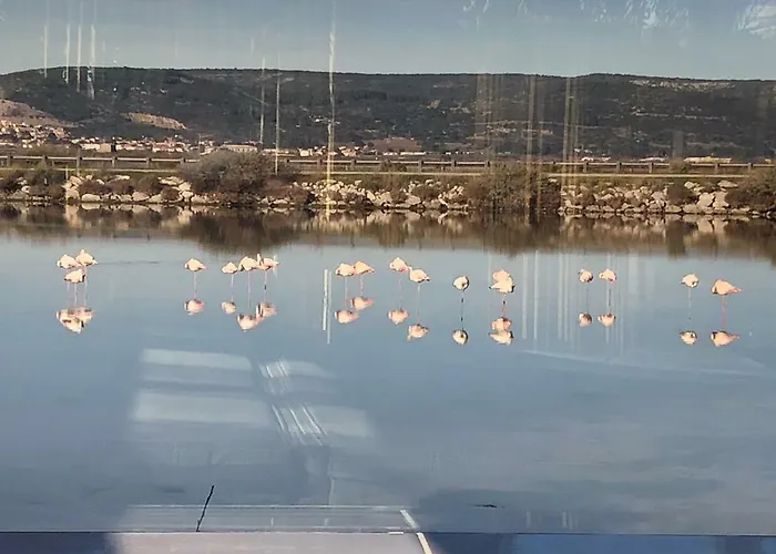 Flamants Roses 3 营地