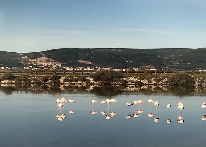 营地 Flamants Roses 3 *