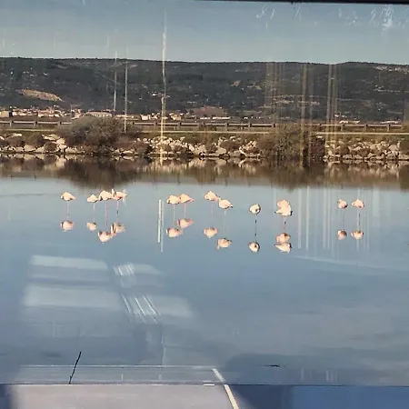 Flamants Roses 3 Camping