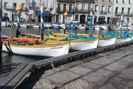 Flamants Roses 3 弗龙蒂尼昂