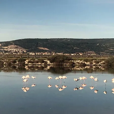 营地 Flamants Roses 3 *